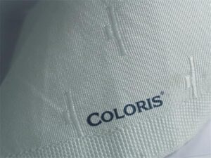 Gyártó: <span class='dk-excerpt-value'>COLORIS</span> Bélyegzőfesték, 50 ml, textilhez, COLORIS, "Berolin Ariston", fehér