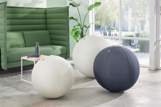 Ülőlabda, nehezékkel, 65cm, LEITZ "Ergo Active", sötétszürke - Image 9
