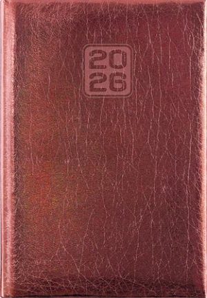 Naptár, tervező, A5, napi, DAYLINER, "Mirror", bronz
